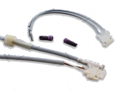 Picture of Temperature probe PT1000 [KIT] for Meiko Part# 9656868, 9697140