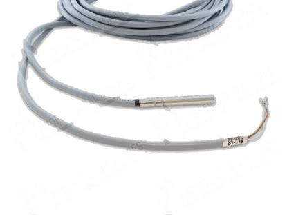 Picture of Temperature probe for Meiko Part# 9660868, ME9660868