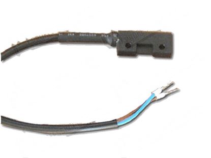Image de Magnetic microswitch E510 with resistor 100 Ohm for Scotsman Part# CM33210013,  CM33210018,  CM33210019