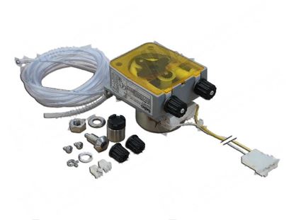 Picture of Detergent peristaltic pump fixed capacity [KIT] for Hobart Part# ML71561ED, ML71561-ED